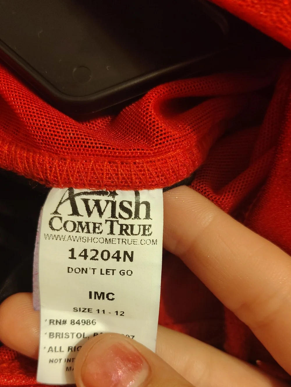 A Wish Come True Don't Let Go Costume Size IMC